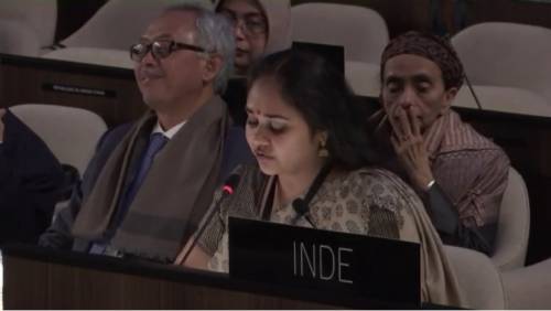 Ananya Agarwal - Indian Representative at UNESCO HQ